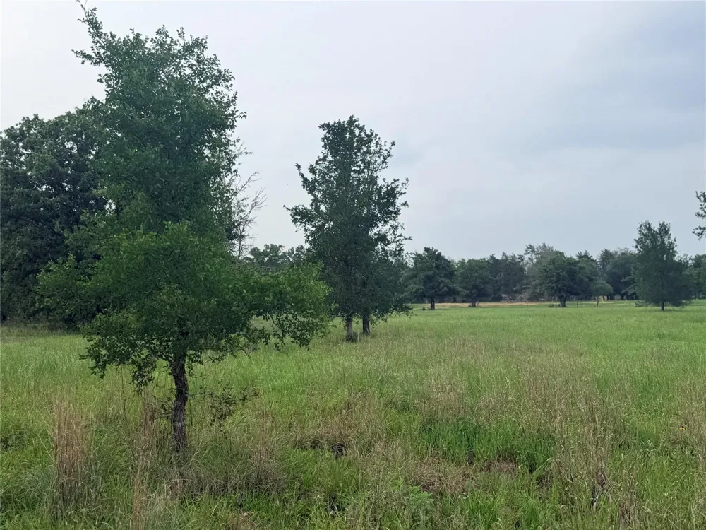1766 Fm 2104 Paige, TX 78659