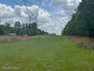 5133 Antioch Road Hazlehurst, MS 39083