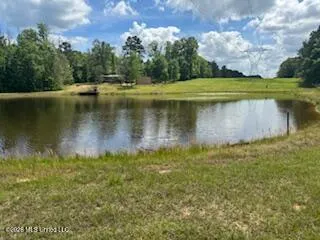 5133 Antioch Road Hazlehurst, MS 39083