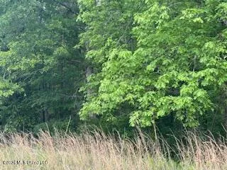 5133 Antioch Road Hazlehurst, MS 39083
