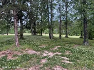 5133 Antioch Road Hazlehurst, MS 39083