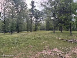 5133 Antioch Road Hazlehurst, MS 39083