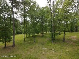 5133 Antioch Road Hazlehurst, MS 39083