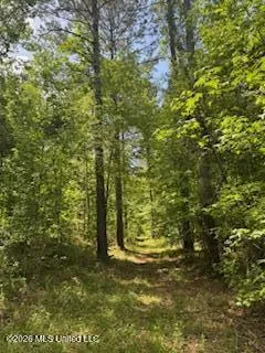 5133 Antioch Road Hazlehurst, MS 39083