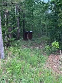 5133 Antioch Road Hazlehurst, MS 39083