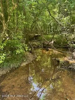5133 Antioch Road Hazlehurst, MS 39083