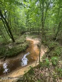 5133 Antioch Road Hazlehurst, MS 39083