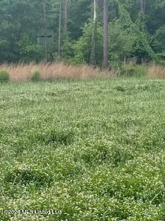 5133 Antioch Road Hazlehurst, MS 39083