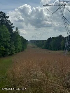 5133 Antioch Road Hazlehurst, MS 39083