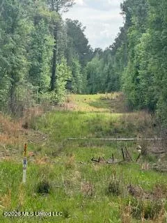 5133 Antioch Road Hazlehurst, MS 39083