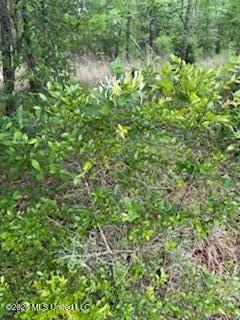 5133 Antioch Road Hazlehurst, MS 39083