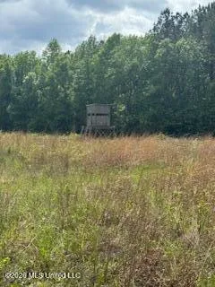 5133 Antioch Road Hazlehurst, MS 39083