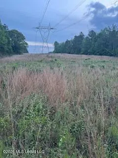 5133 Antioch Road Hazlehurst, MS 39083