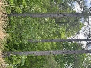 5133 Antioch Road Hazlehurst, MS 39083