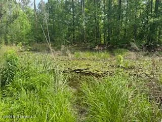 5133 Antioch Road Hazlehurst, MS 39083