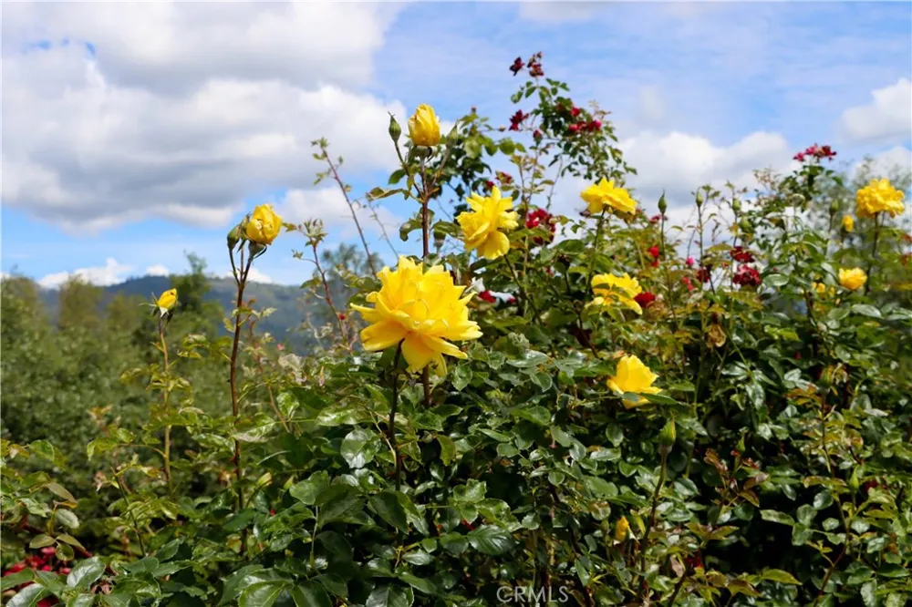 5603 Clouds Rest Road Mariposa, CA 95338