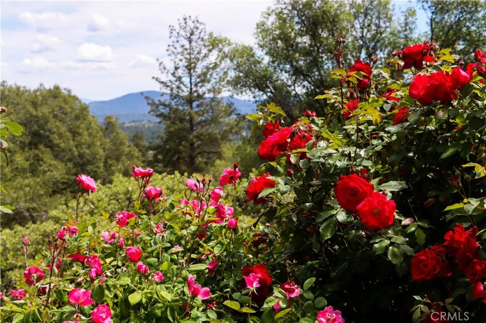 5603 Clouds Rest Road Mariposa, CA 95338