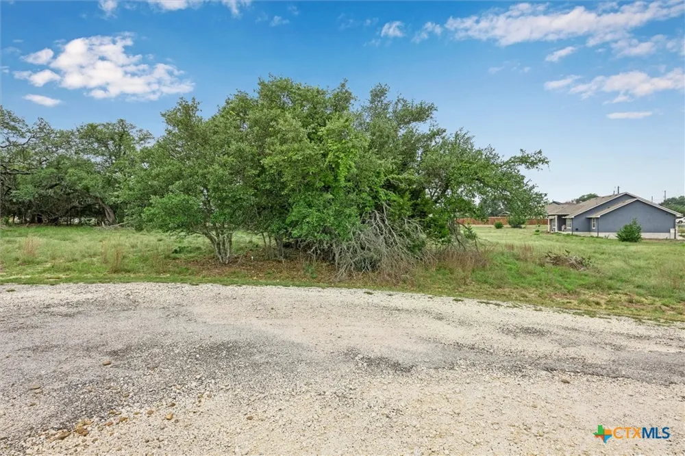 104 David Gage Blanco, TX 78606