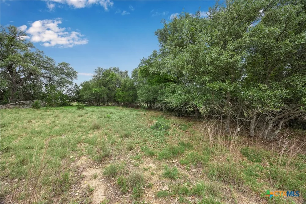 104 David Gage Blanco, TX 78606