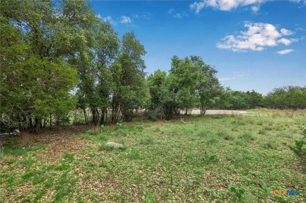 104 David Gage Blanco, TX 78606