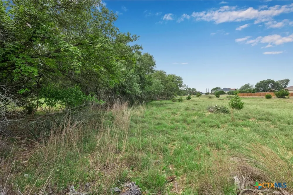 104 David Gage Blanco, TX 78606