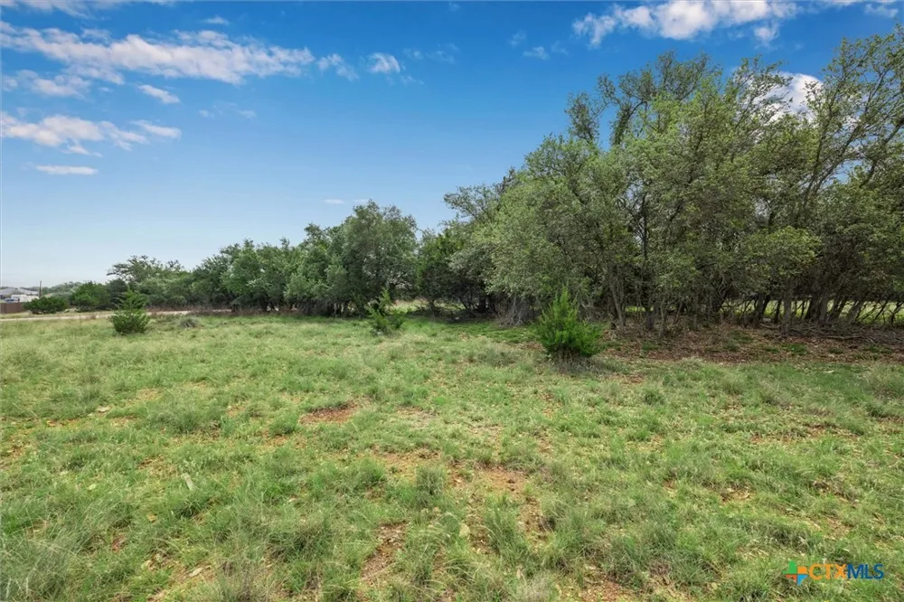 104 David Gage Blanco, TX 78606