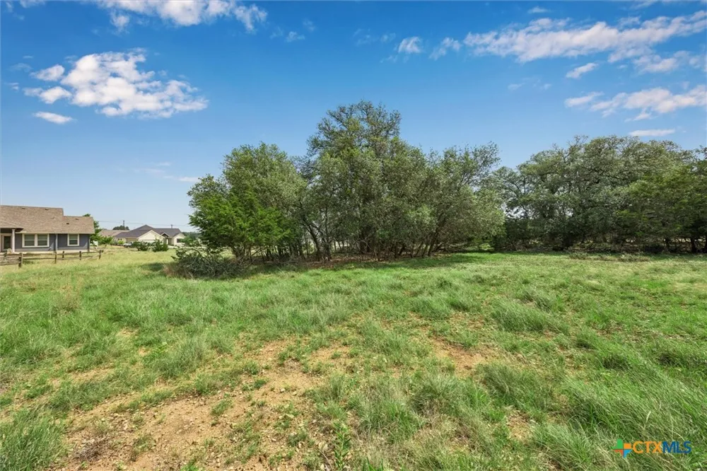 104 David Gage Blanco, TX 78606