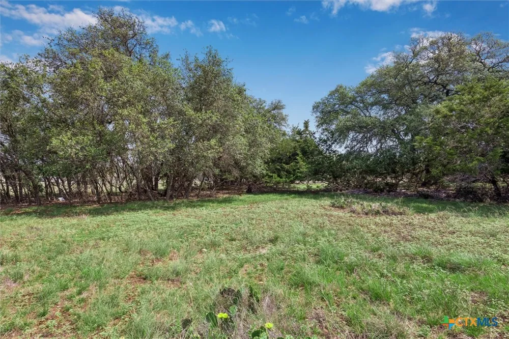 104 David Gage Blanco, TX 78606