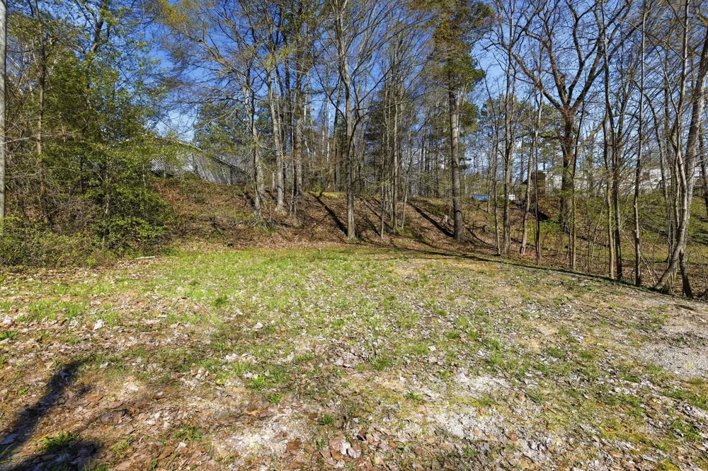 6059 Terry Drive Six Lakes, MI 48886