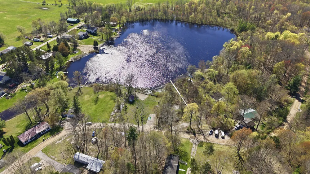6059 Terry Drive Six Lakes, MI 48886
