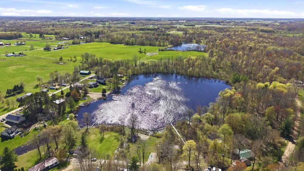 6059 Terry Drive Six Lakes, MI 48886
