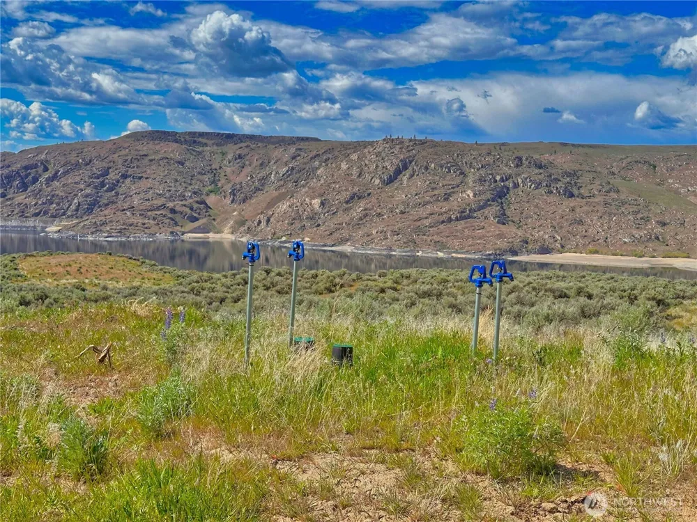 46040 Arrowleaf Canyon Drive Grand Coulee, WA 99133