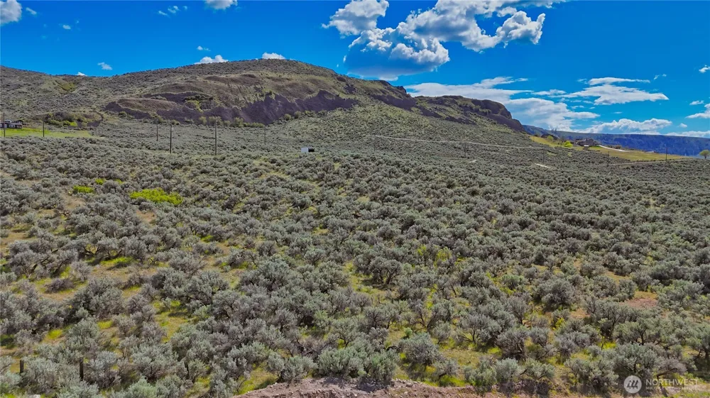46040 Arrowleaf Canyon Drive Grand Coulee, WA 99133