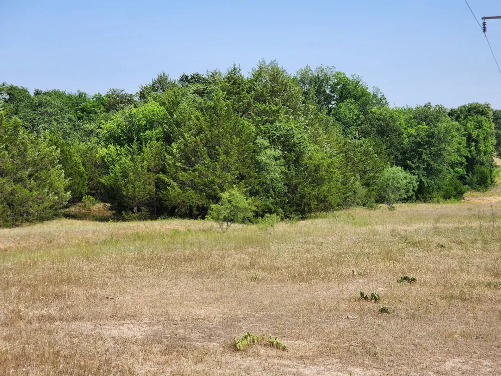 County Road 1270 Alvord, TX 76225