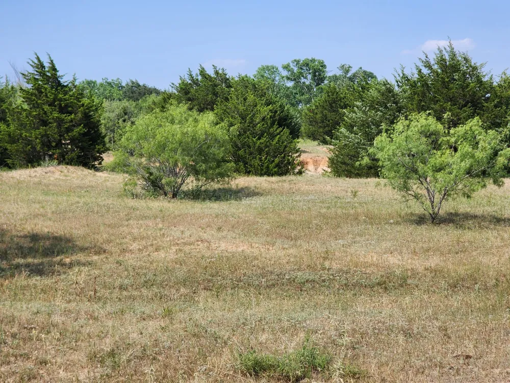 County Road 1270 Alvord, TX 76225