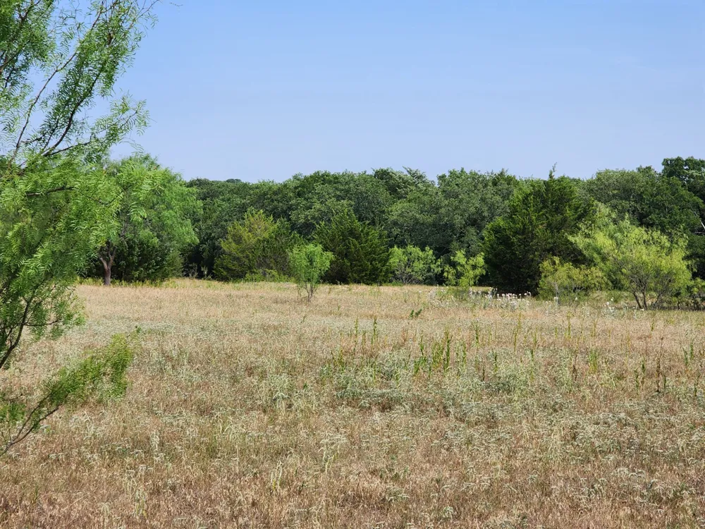 County Road 1270 Alvord, TX 76225