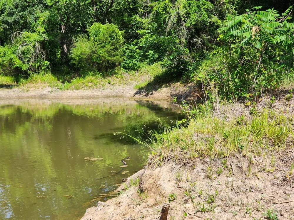 County Road 1270 Alvord, TX 76225