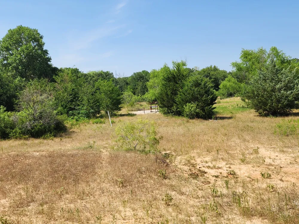 County Road 1270 Alvord, TX 76225