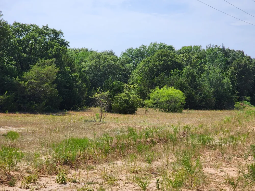 County Road 1270 Alvord, TX 76225