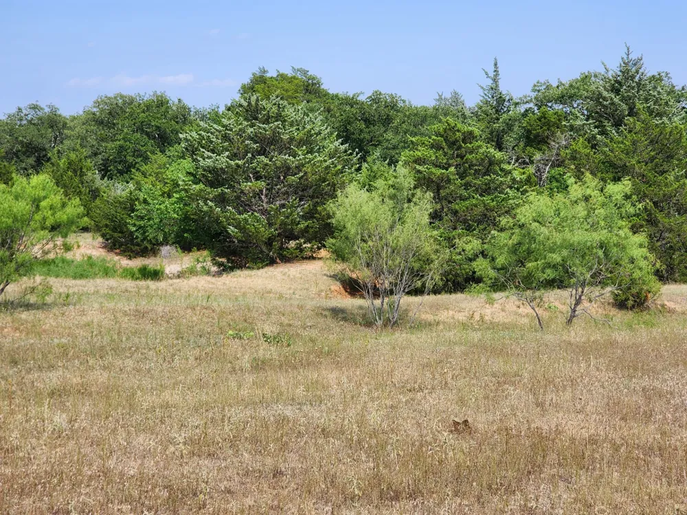 County Road 1270 Alvord, TX 76225