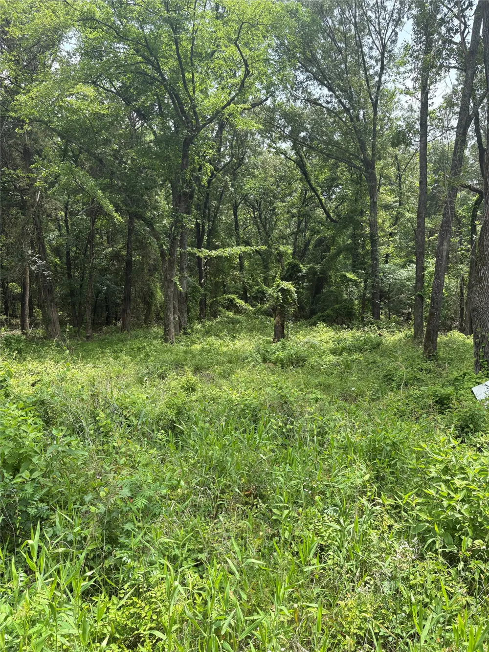 County Road 4112 Canton, TX 75103