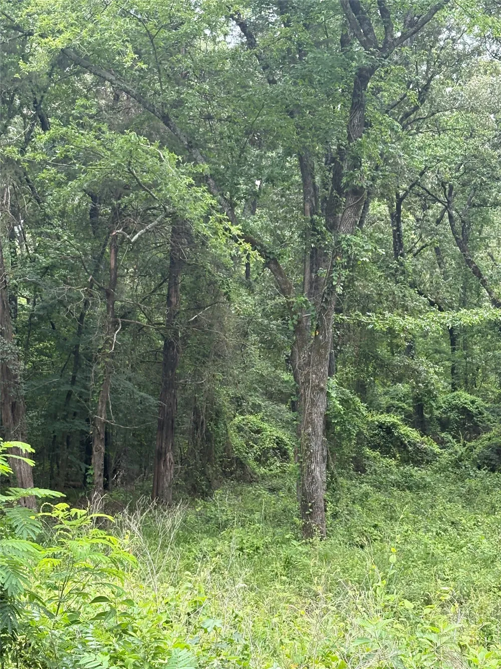County Road 4112 Canton, TX 75103