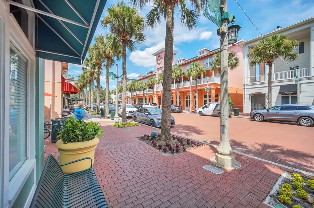 709 BLOOM STREET #160 Celebration, FL 34747