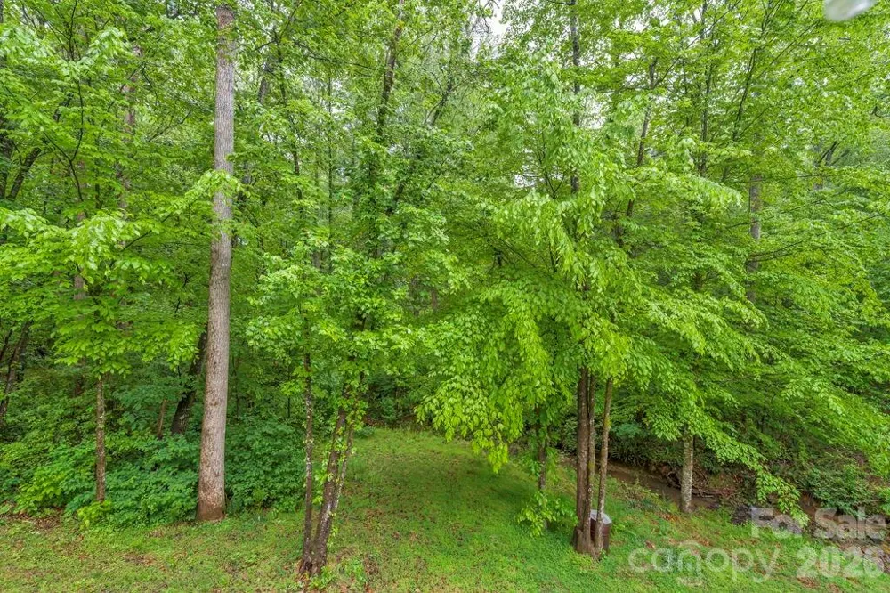 38 Macey Drive Nebo, NC 28761