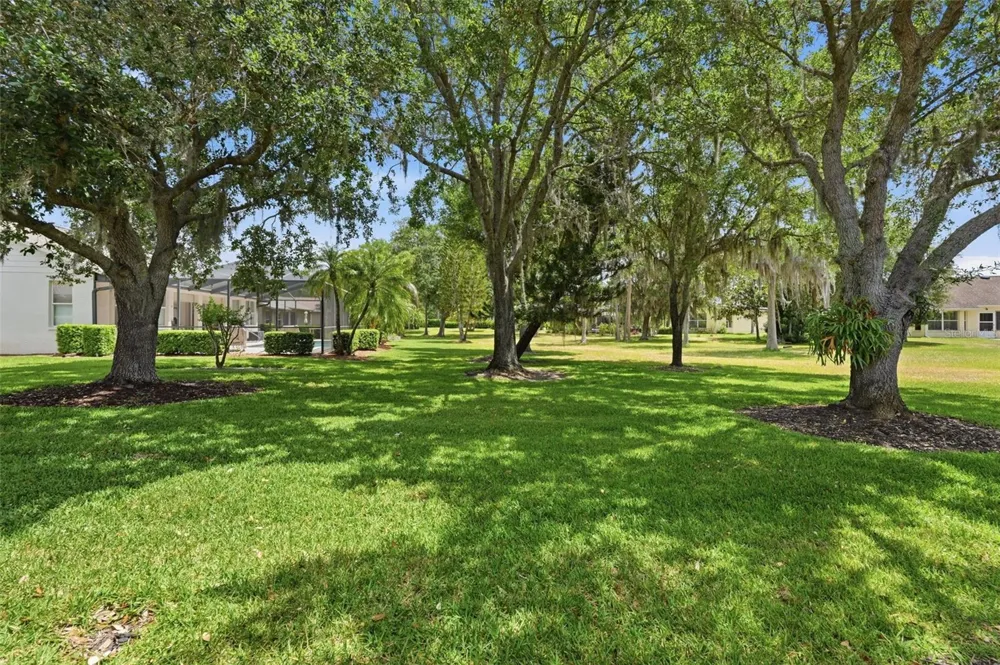 1444 CANBERLEY COURT Trinity, FL 34655