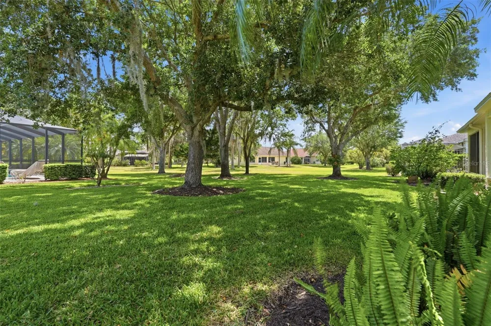 1444 CANBERLEY COURT Trinity, FL 34655