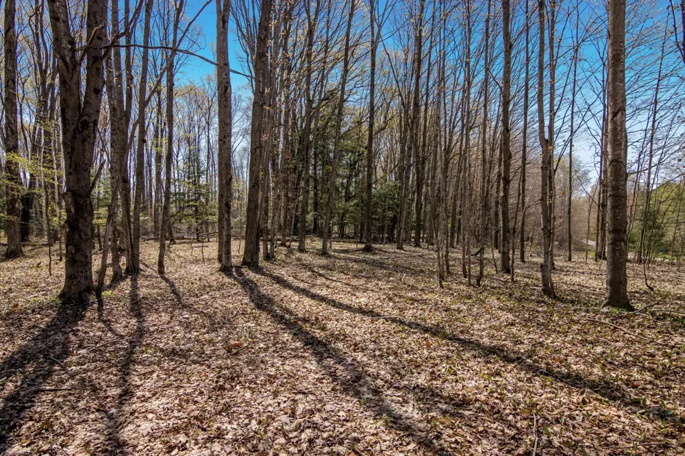 3 Woodland Trail Almira Township, MI 49684