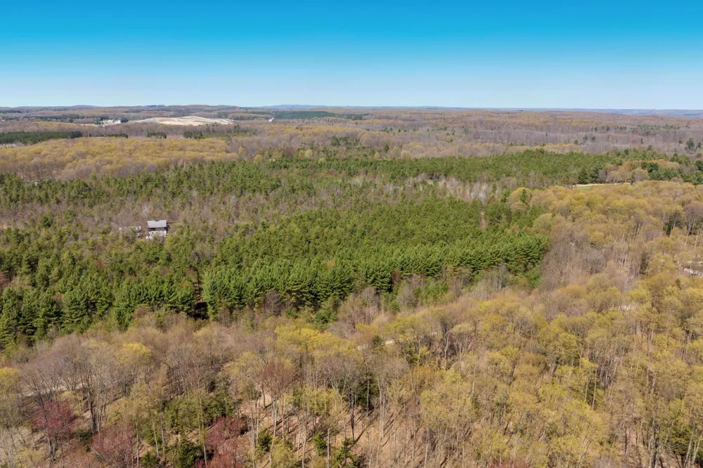 3 Woodland Trail Almira Township, MI 49684