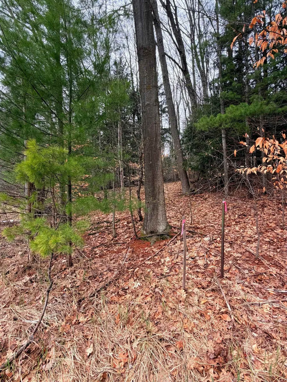 3 Woodland Trail Almira Township, MI 49684