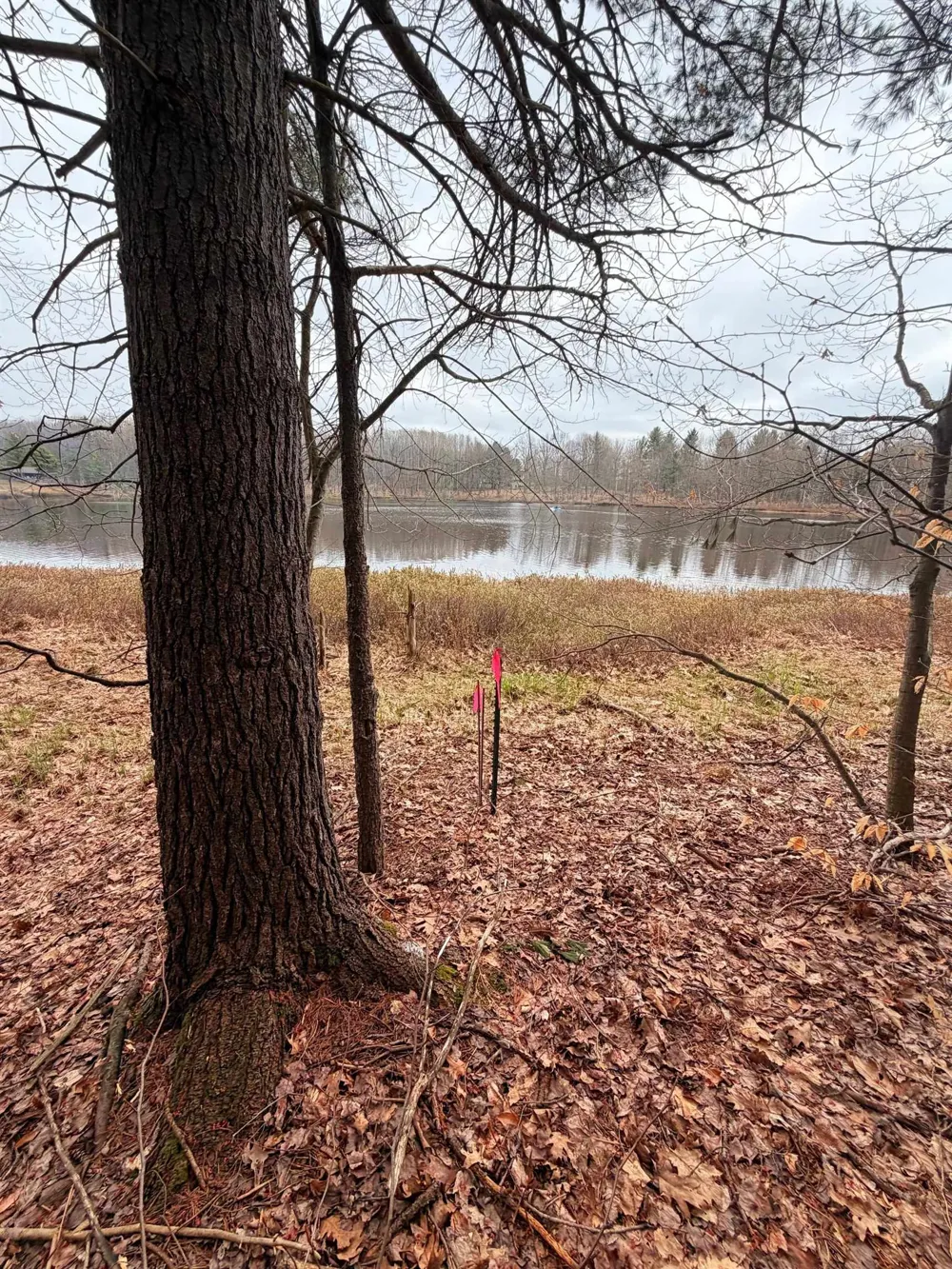 3 Woodland Trail Almira Township, MI 49684